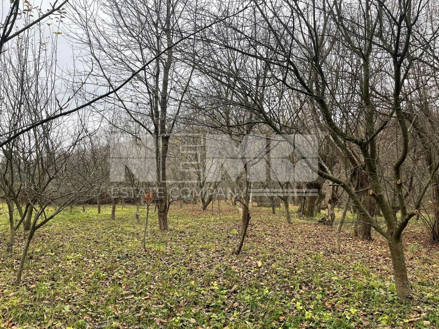 CABANA MODERNA 300 mp 🌲 - Poză 6