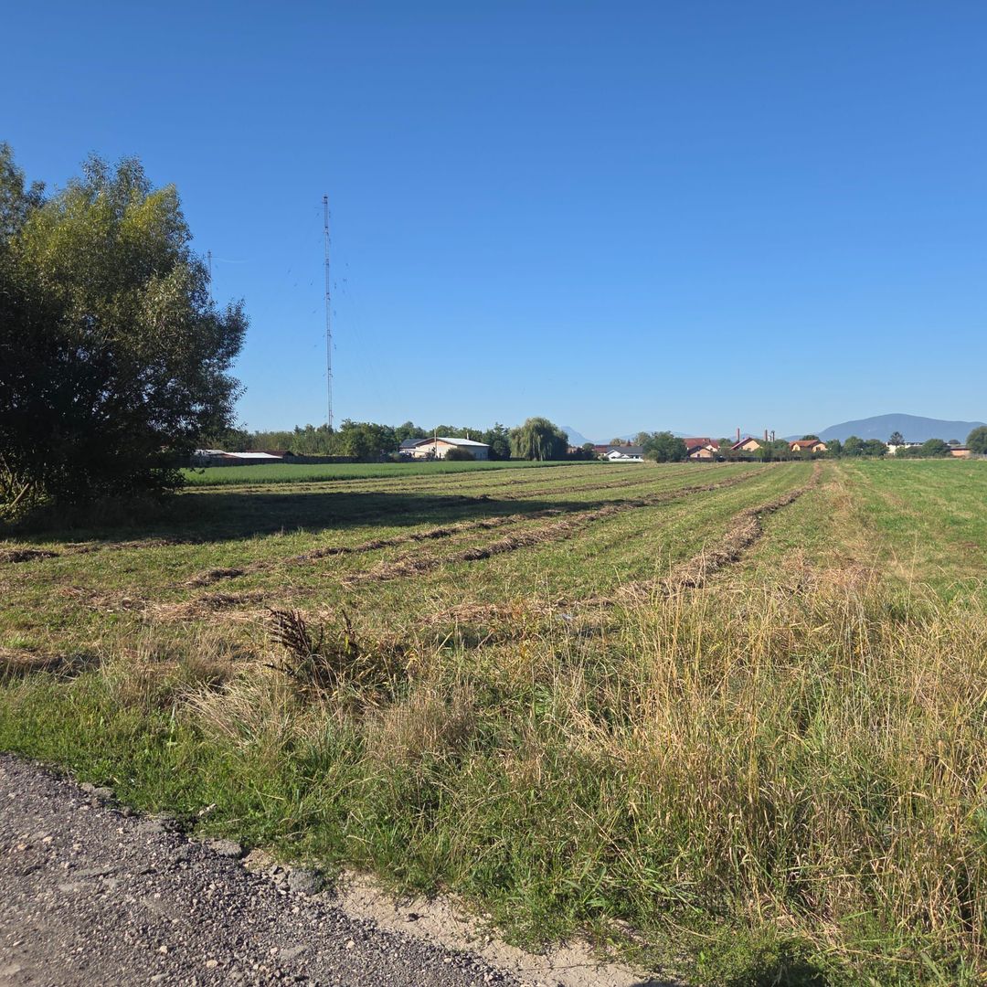Teren Bod Colonie,strada Lalelelor - Poză 3