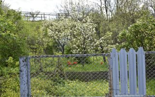 CASĂ TRADIȚIONALĂ CU GRĂDINĂ GENEROASĂ ȘI VIE – ISACCEA, JUD. TULCEA - Poză 3