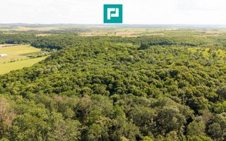 TEREN AGRICOL EXTRAVILAN  22.900 MP LIPOVA - Poză 8