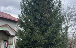 De Vinzare Vila spatioasa Linga Padure si apropae de Nistru. - Poză 3