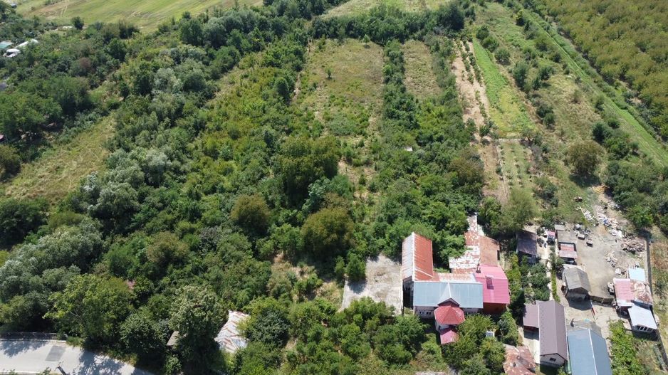 Teren 7808mp Bolovani - comuna Cornățelu (COMISON ZERO) - Poză 14