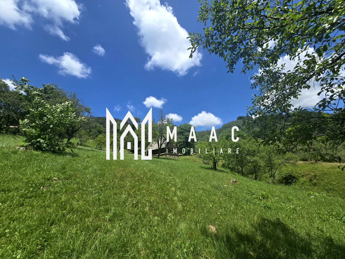 Teren | 2946MP | Priveliște Panoramică | Râu Sadului - Poză 4