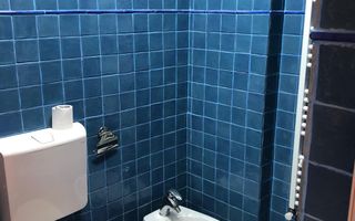 🏡 Apartament 1 camera cu vedere panoramică la Dunăre - Poză 8