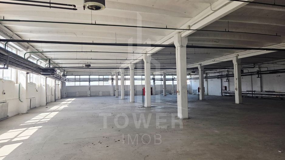 Hala generosa de închiriat . - Poză 3