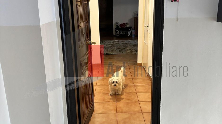 Apartament 3 camere Berceni - Poză 9