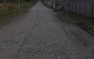 Teren Branesti - Strada Noua - Poză 3