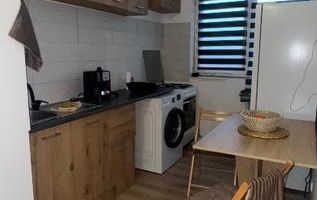 Apartament 2 camere de închiriat Tineretului Pet-friendly - Poză 3