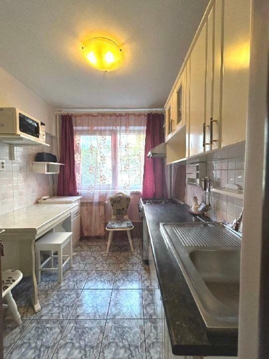 APARTAMENT IANCULUI | METROU - Poză 7