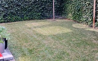Vila Premium Pipera ~ Siguranta & Exclusivitate - Poză 18