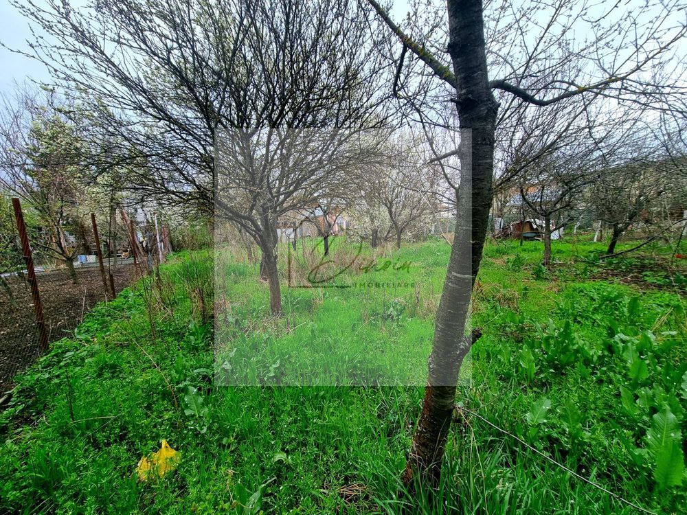 Teren ultra-central Mogosoaia I 1058 mp I Castelul Mogoșoaia - Poză 3