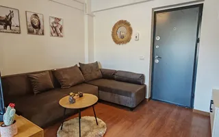 Vișan - Bloc nou - 2 camere -300 euro! - Poză 16