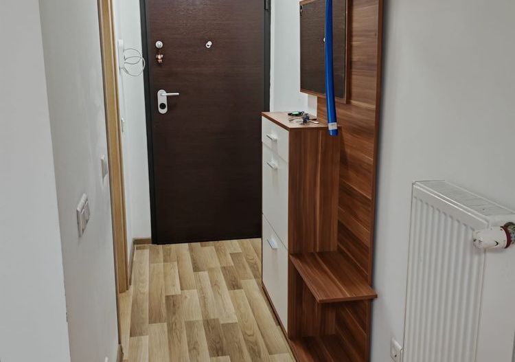 Garsonieră spațioasă de închiriat Piața Sudului - Poză 5