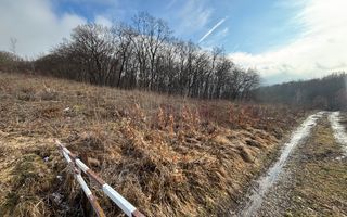 De vânzare două parcele de 3752 mp împreună- zona Făget - Poză 1