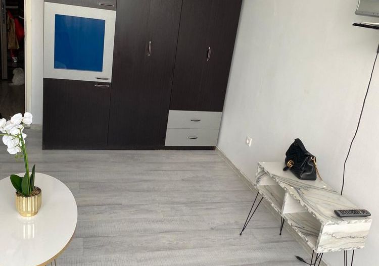 Garsonieră renovată,Țiglina 1, etaj 4 - Poză 3