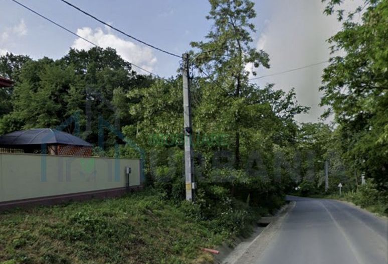 Teren pădure 3650 mp cu deschidere 42 m la Șos. Bârnova, ideal investiție pe termen mediu și lung - Poză 1