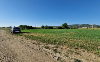 Vanzare teren industrial, Stefanesti, strada Sticlelor - Poză 7