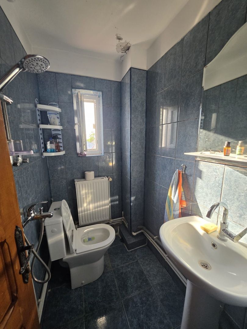 Casă / Vilă cu 8 camere de vânzare în Lapus, Craiova - Poză 20