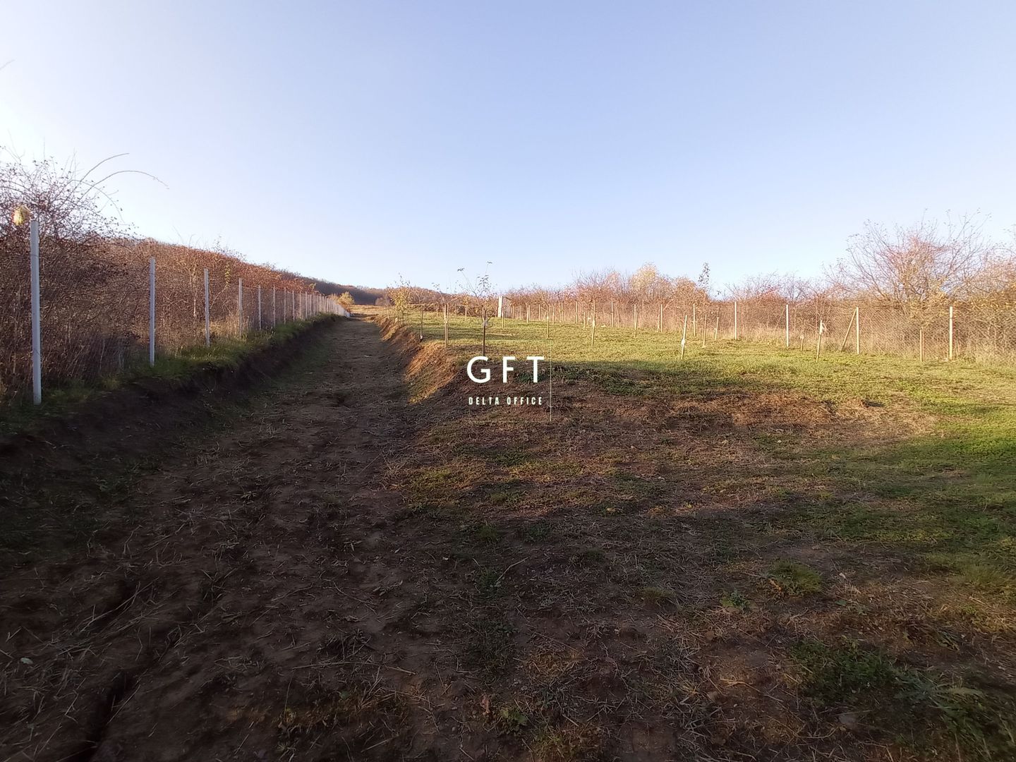 Teren Viisoara 27 ari - Poză 7