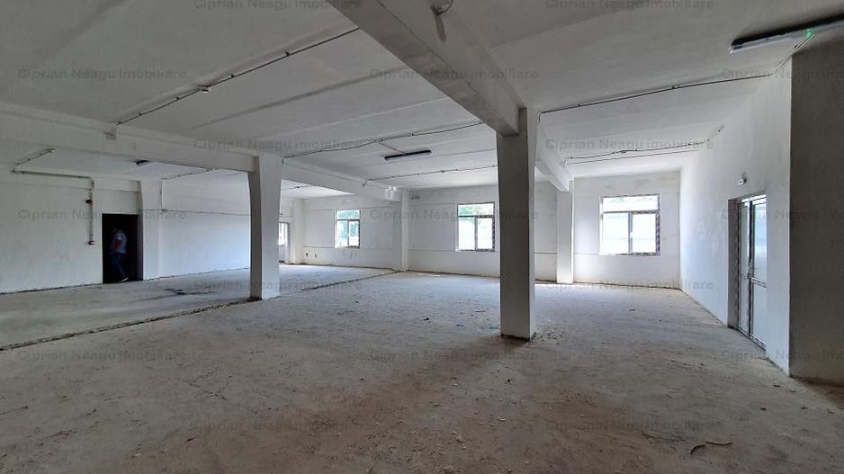 Hala De Inchiriat, zona Depozitelor Pitesti - Poză 12