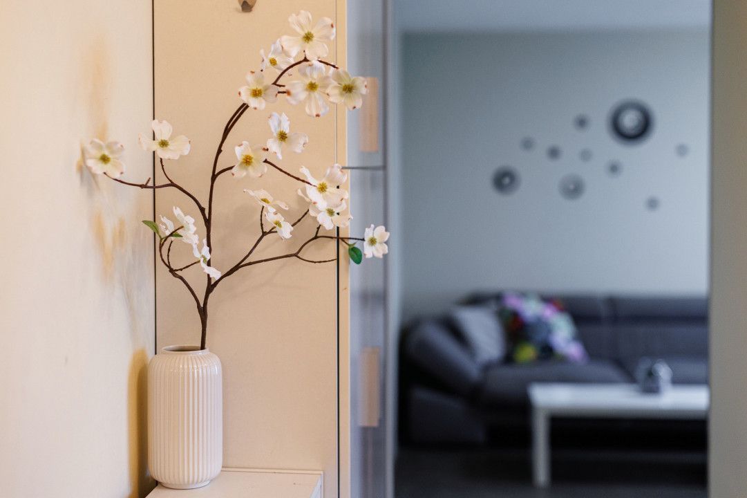 Apartament 2 camere, Piata Balcescu-Timisoara - Poză 18