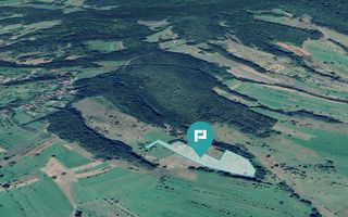 Teren de 92294 in Halmagiu - Poză 3