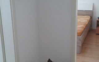 Apartament cu 2 camere de vânzare în Bartolomeu, Brasov - Poză 4