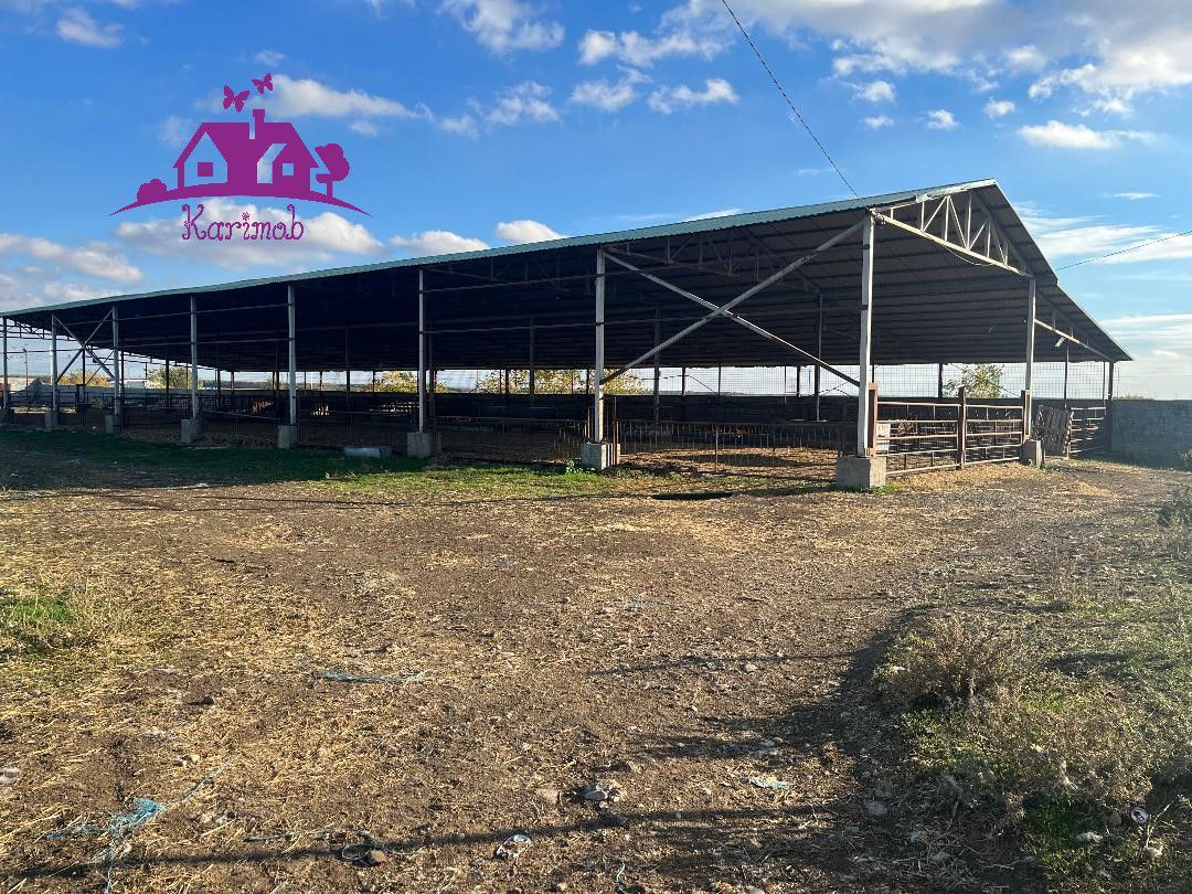 Teren industrial si o constructie pe structura metalica - Poză 1