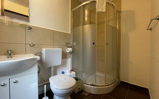 Casa de inchiriat in cartierul Zorilor! - Poză 29