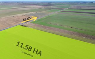 Teren folosinta conditii speciale | Oportunitate investitie | Nadlac - Poză 3