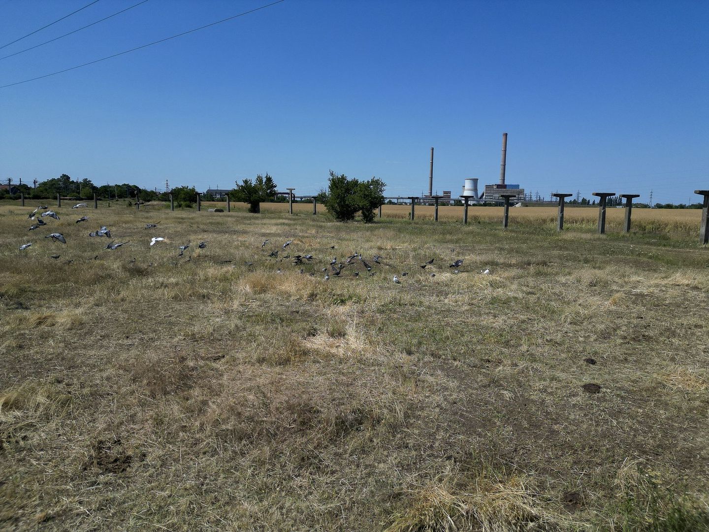 Tern intrevilan 4003 mp - Poză 18