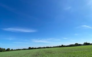 Teren Intravilan 825mp Cu dubla deschidere si Drum de servitute, Dascalu  Ilfov - Poză 4