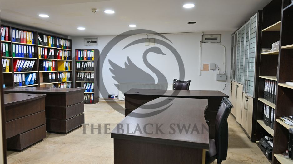 Spatii de birou de Inchiriat | 50 - 478 mp | 9€ / mp | Bariera Bucov - Poză 2