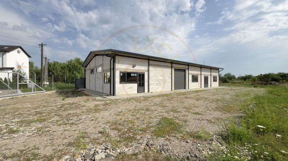 Inchiriere Hală Producție/Depozitare 300 mp, Teren 1791 mp - Carei - Poză 1