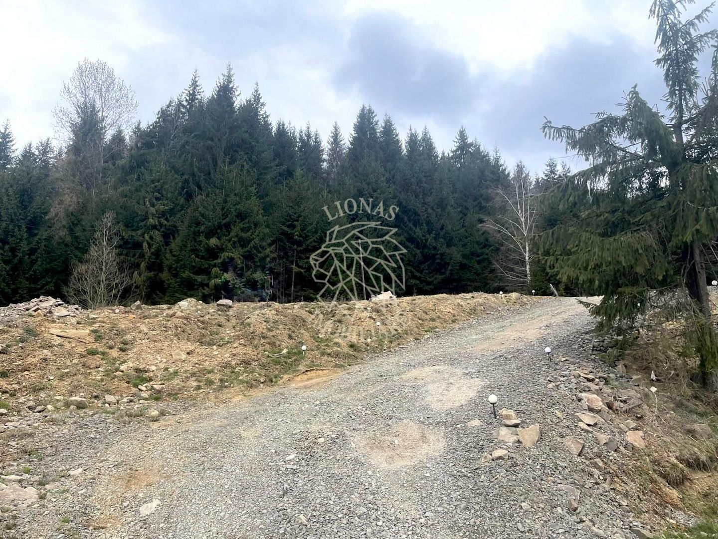 Teren intravilan 3039 mp-Parcelabil-ponton-Colibita Exclusiv - Poză 2