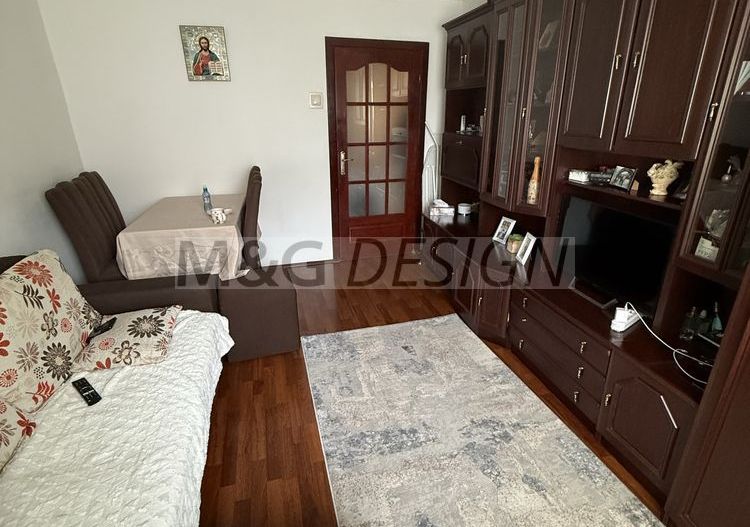 Apartament 2 camere Buziasului - Poză 1