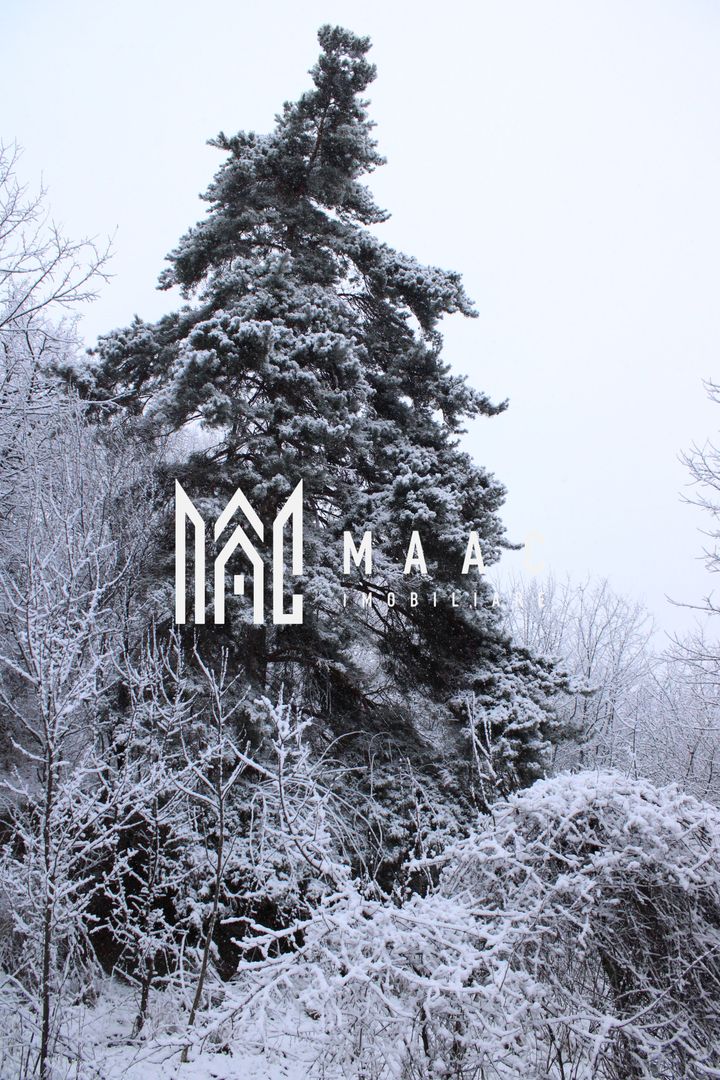 Teren cu izvor de apă minerală  Dangești, Punctul Valea Mare - Poză 30