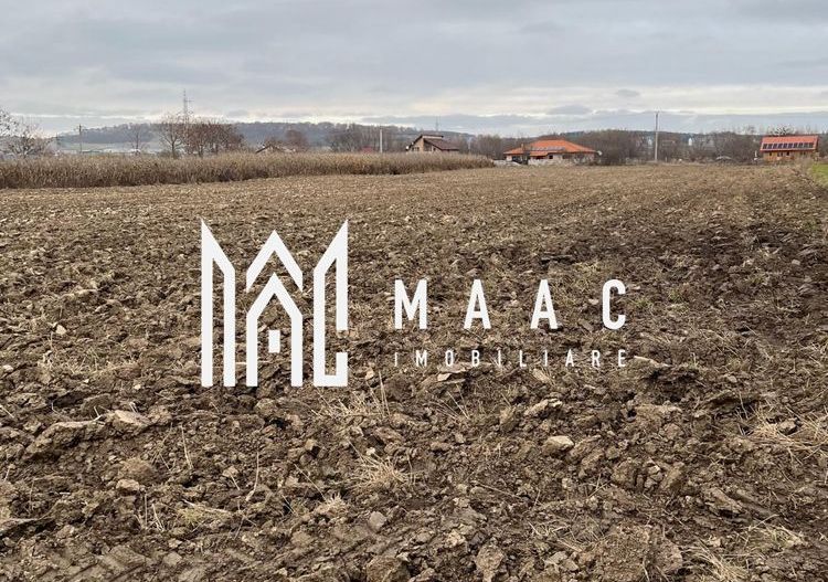 Teren de vanzare | 4.300 Mp | Cristian - Poză 3