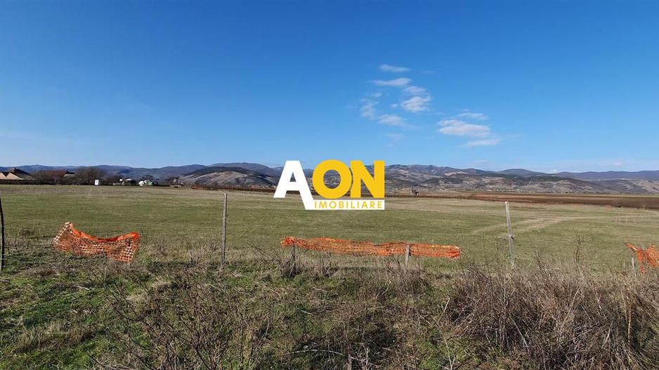 Teren industrial 44.200 mp, Vințu de Jos, Oportunitate de investitie - Poză 1