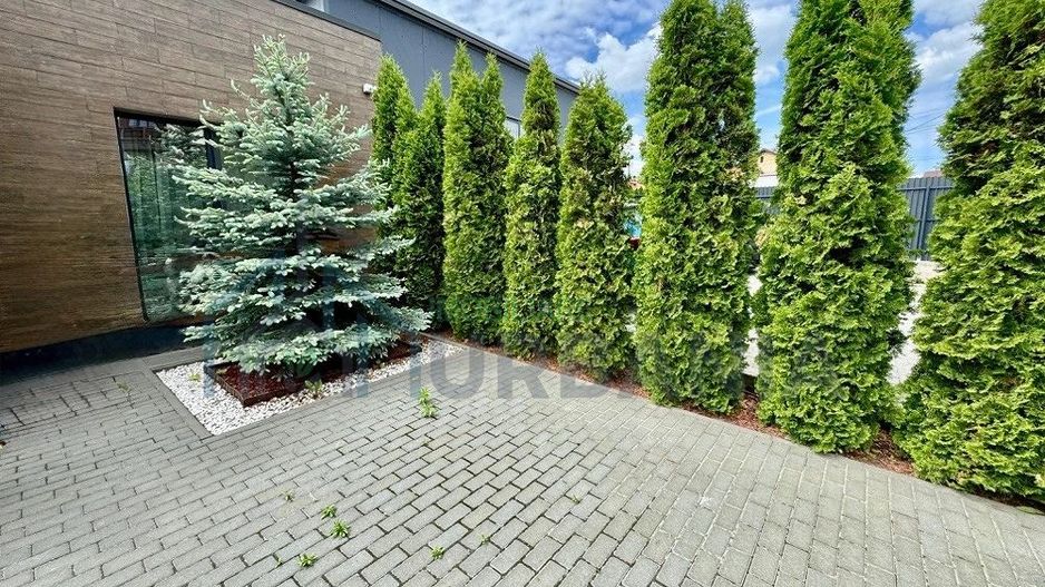 Casa+ Spațiu Comercial # *#* - Poză 2