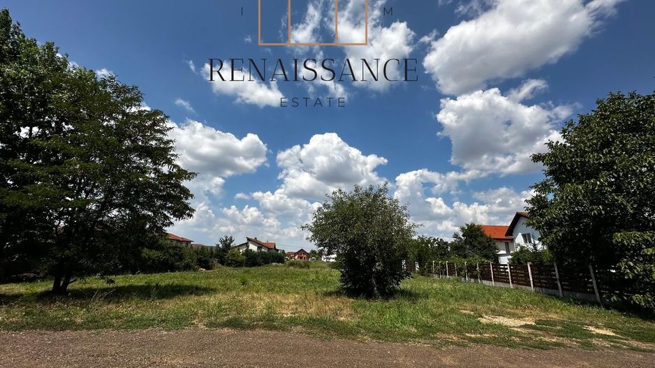 Dumbravita Teren Intravilan 1466mp Front 29m | Langa Padure - Poză 7