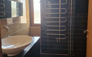Apartament 3 camere  penthouse zona Victor Babes - Poză 6