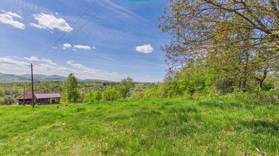 Proprietate rară cu 24.270 mp, în Măgulicea, Arad! - Poză 25