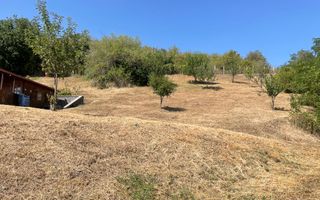 Teren intravilan 2700mp-ideal case-panoramic-Viisoara-Exclusivitate - Poză 6