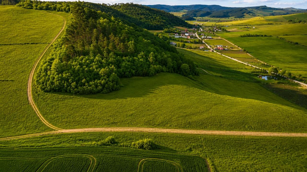 6.000 mp teren granitat de liziera compacta de padure, ecran natural de liniste, - Poză 2