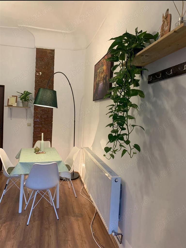 Apartament 1 camera Ultracentral etaj 1 cu centrala - Poză 6
