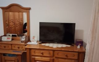 vand apartament 2 camere zona Alunisul Nou, paretr cvu terasa gaz tras - Poză 2