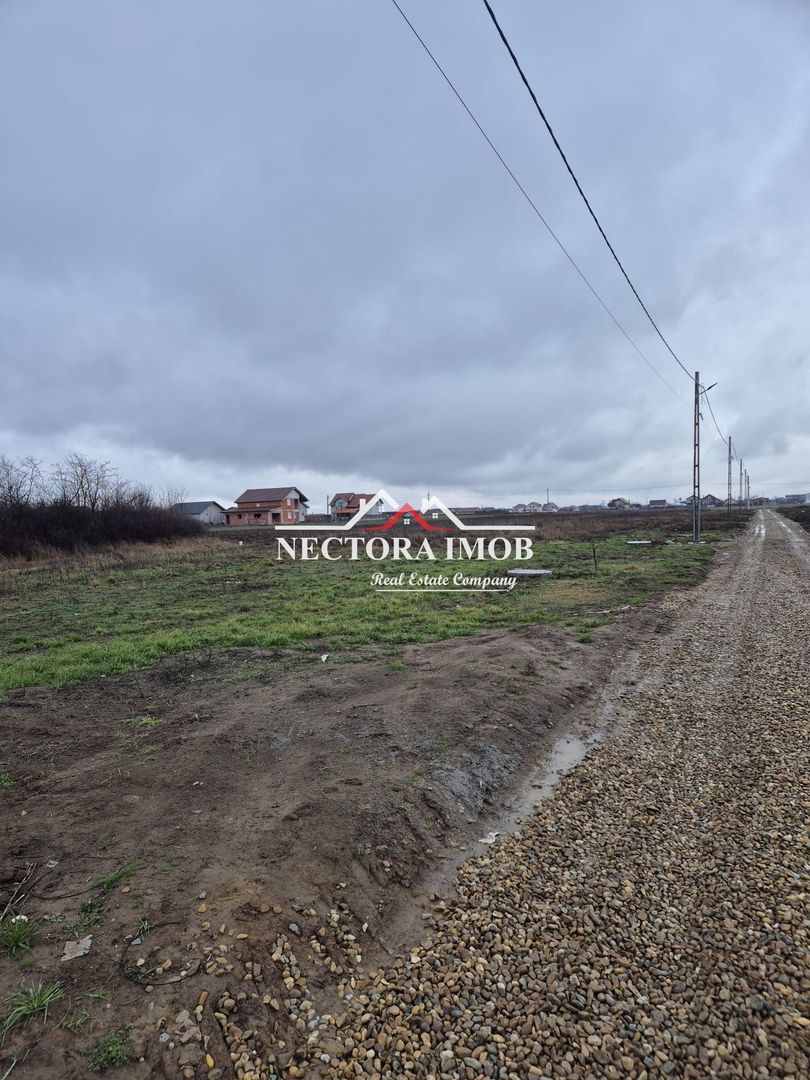 NECTORA IMOB-Teren Intravilan 501 mp, cu front 19ml, Nojorid,Utilitati - Poză 1