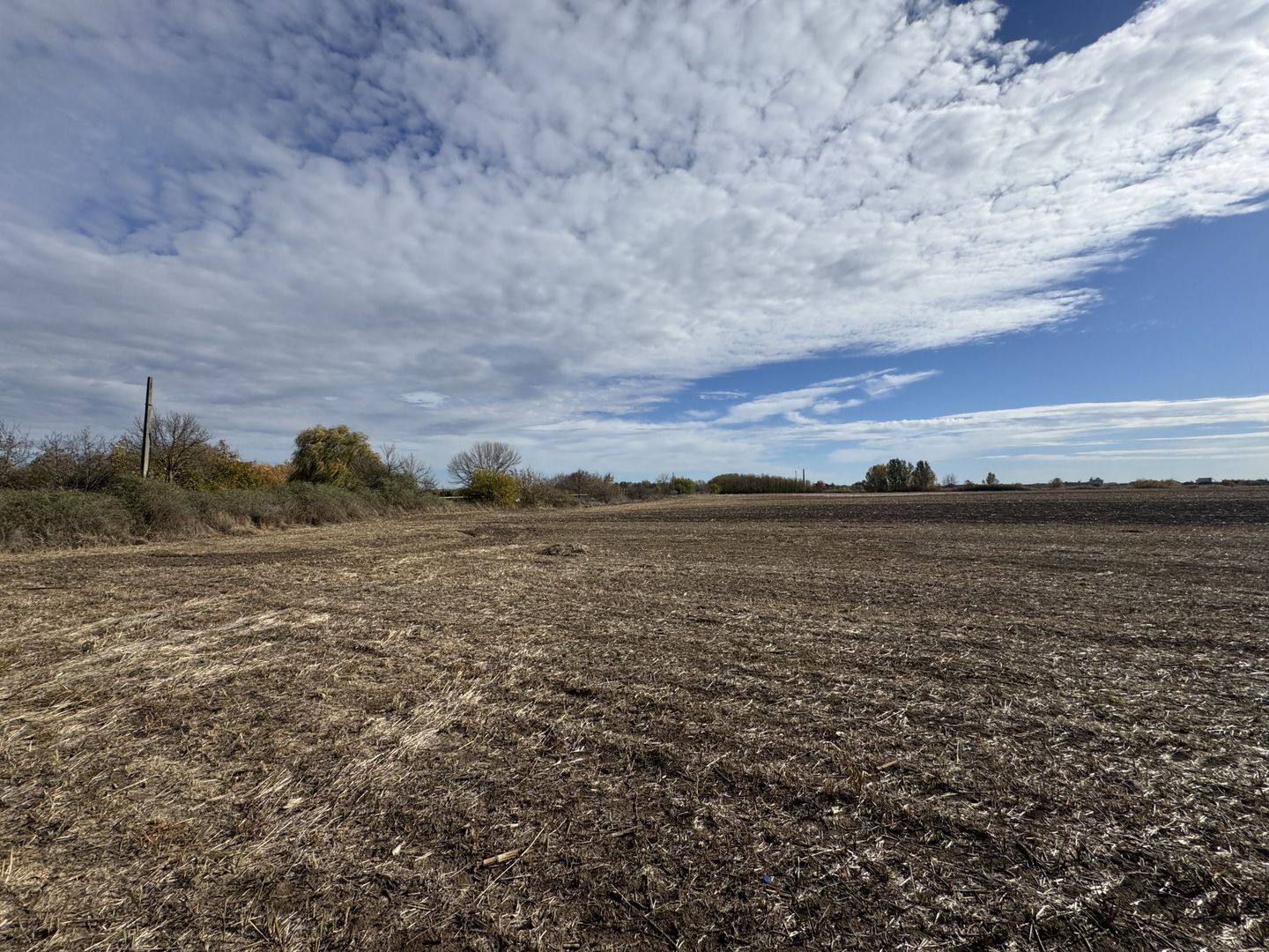 Vand Teren Extravilan Biled(zona industriala) 25.000mp,F.S la DN6 - Poză 3