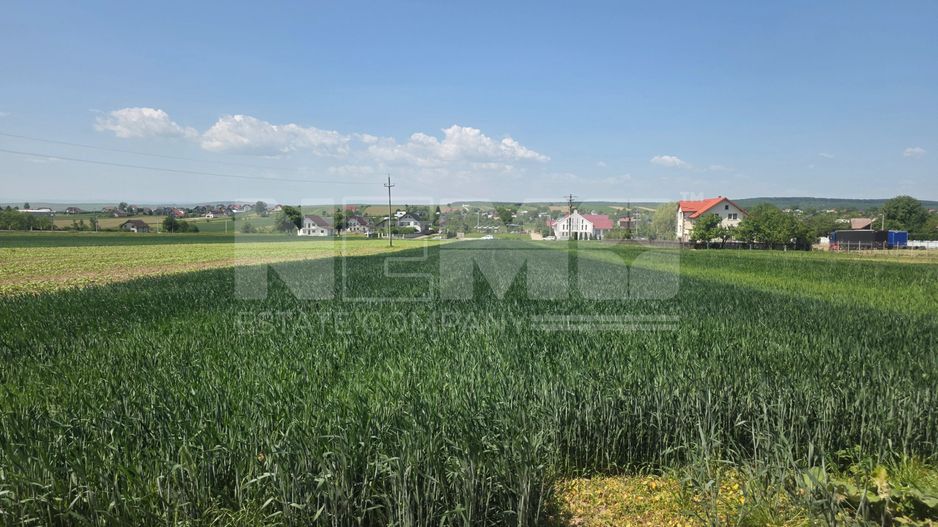 TEREN EXTRAVILAN | MITOCU DRAGOMIRNEI | 2.600 Mp - Poză 7